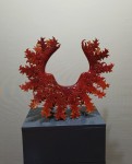 Medusa rood